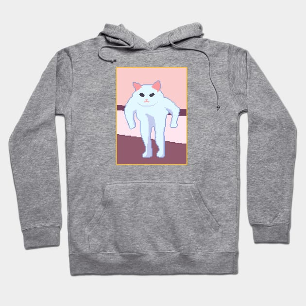 Funny Cat Meme Pixel Art Hoodie by pichi pixel